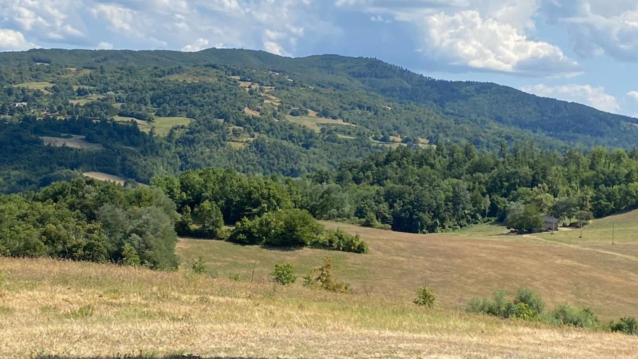 Agriturismo Il Casone San Benedetto Val di Sambro Dış mekan fotoğraf