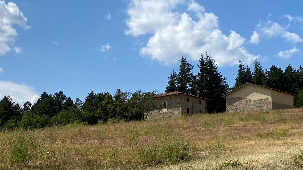 Agriturismo Il Casone San Benedetto Val di Sambro Dış mekan fotoğraf